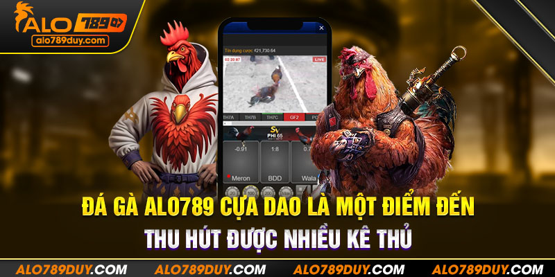 Đá gà Alo789 cựa dao là một điểm đến thu hút được nhiều kê thủ