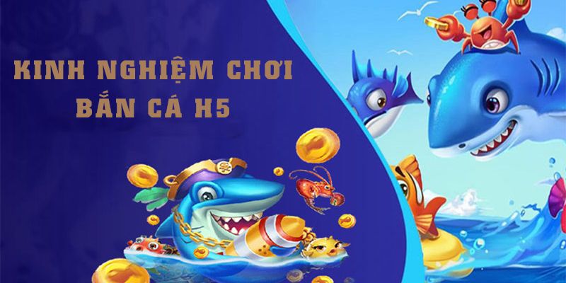 Kinh nghiệm săn cá vàng dễ trúng cho tân binh